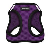 Best Pet Supplies Voyager Step-in Air - Harnais en Maille résistante aux intempéries pour Chiens de Petite et Moyenne Taille, Base Violette, Taille S