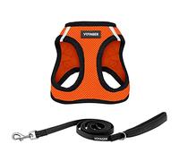 Best Pet Supplies Voyager Step-in Air - Harnais en Maille Toutes Saisons et Laisse réfléchissante avec poignée en néoprène pour Chiots de Petite, Moyenne et Grande Taille - Bordure Orange/Noire,