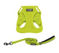 Best Pet Supplies Voyager Step-in Air - Harnais en Maille Toutes Saisons et Laisse réfléchissante de 1,5 m avec poignée en néoprène, pour Chiots de Petite, Moyenne et Grande Taille (Vert Citron),