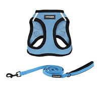Best Pet Supplies Voyager Step-in Air Harnais en maille toutes saisons et laisse réfléchissante de 1,5 m, néoprène H≤ pour chiots de petite, moyenne et grande race - Harnais pour laisse (bleu