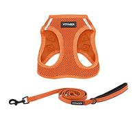Best Pet Supplies Voyager Step-in Air - Harnais en Maille Toutes Saisons et Laisse réfléchissante de 1,5 m avec poignée en néoprène, pour Chiots de Petite, Moyenne et Grande Taille (Orange), Taille M
