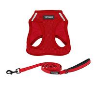 Best Pet Supplies Voyager Step-in Air - Harnais en Maille Toutes Saisons et Laisse réfléchissante de 1,5 m avec poignée en néoprène, pour Chiots de Petite, Moyenne et Grande Taille (Rouge), Taille S