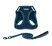 Best Pet Supplies Voyager Step-in Air - Harnais en Maille Toutes Saisons et Laisse réfléchissante de 1,5 m avec poignée en néoprène, pour Chiots de Petite, Moyenne et Grande Taille (Bleu), Taille XXS
