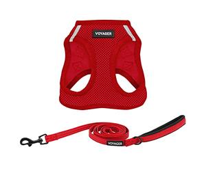 Best Pet Supplies Voyager Step-in Air - Harnais en Maille Toutes Saisons et Laisse réfléchissante de 1,5 m avec poignée en néoprène pour Chiots de Petite, Moyenne et Grande Taille (Rouge), Taille XS