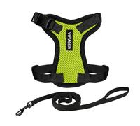 Best Pet Supplies Voyager Step-in Lock Ensemble Harnais pour Chien avec Laisse réfléchissante et poignée en néoprène, 1,5 m, pour Chats de Petite, Moyenne et Grande Race, Bordure Vert Citron/Noir,
