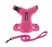 Best Pet Supplies Voyager Step-in Lock - Harnais en Maille résistante aux intempéries pour Animaux de Compagnie, Harnais réglable pour Chats et Chiens, Fuchsia, Taille XXXS