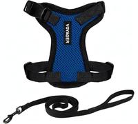 Best Pet Supplies Voyager Step-in Lock - Harnais en maille résistante aux intempéries pour animaux de compagnie, harnais réglable pour chats et chiens, bleu roi, taille XXS (poitrine : 25,4 à 35,6 cm,