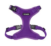 Best Pet Supplies Voyager Step-in Lock Harnais en Maille résistante aux intempéries pour Animaux de Compagnie, Harnais réglable pour Chats et Chiens, Violet, Taille XS