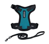 Best Pet Supplies Voyager Step-in Lock - Harnais en Maille résistante aux intempéries pour Animaux de Compagnie, Harnais réglable pour Chats et Chiens, Bordure Turquoise/Noire, Taille XXXS