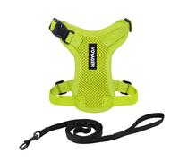 Best Pet Supplies Voyager Step-in Lock Harnais et Laisse réfléchissante pour Chat avec poignée en néoprène - Convient aux Chats de Petite, Moyenne et Grande Taille, Vert Citron, Taille XS - 1,5 m