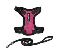 Best Pet Supplies Voyager Step-in Lock Harnais pour Chat et Laisse réfléchissante avec poignée en néoprène - Convient aux Chats de Petite, Moyenne et Grande Taille, Fuchisa/Bordure Noire, Taille XXXS