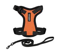 Best Pet Supplies Voyager Step-in Lock Harnais réglable pour chat avec ensemble de laisse pour chat à poignée en néoprène 1,5 m - Pour chats de petite, moyenne et grande taille - Orange/bordure noire,