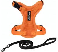 Best Pet Supplies Voyager Step-in Lock Harnais réglable pour Chat avec Ensemble de Laisse pour Chat à poignée en néoprène 1,5 m - pour Chats de Petite, Moyenne et Grande Taille - Orange, XXS