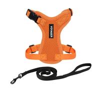 Best Pet Supplies Voyager Step-in Lock Harnais réglable pour Chat avec Ensemble de Laisse pour Chat à poignée en néoprène 1,5 m - pour Chats de Petite, Moyenne et Grande Taille - Orange, XXS
