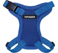 Best Pet Supplies Voyager Step-in Lock Harnais réglable pour Chat avec Ensemble de Laisse pour Chat à poignée en néoprène 1,5 m - pour Chats de Petite, Moyenne et Grande Taille - Bleu Roi, XXS