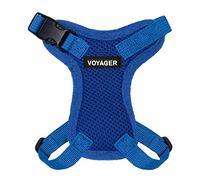 Best Pet Supplies Voyager Step-in Lock Harnais réglable pour Chat avec Ensemble de Laisse pour Chat à poignée en néoprène 1,5 m - pour Chats de Petite, Moyenne et Grande Taille - Bleu Roi, XXXS