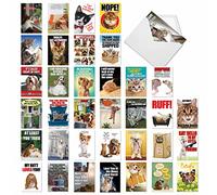 'Best Pets Collection' : 36 images de toutes les occasions carte assortis avec Adorable, drôle de chiens et de chats, avec enveloppes (36 Designs, 1 carte par Motif). Ac6654ocb-b1 X 36