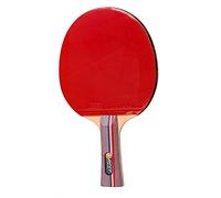 BEST TRAINING Raquette de tennis de table Revêtement Taiile originale