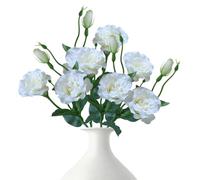 BestAlice Lot de 5 Fausses Fleurs D'Eustoma Grandiflorum, Fleurs D'Eustoma Violettes à Longue Tige, Fleurs Artificielles en Soie, Fleurs D'Eustoma Lisianthus avec Longue Tige, (C)