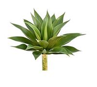 BestAlice Plantes Succulentes D'agave Artificielles, Fausse Plante Succulente D'agave, Plante de Verdure Simulée, Plante Réaliste, Bricolage, Décoration de Verdure, Plante(17,7x17,7 pouces)