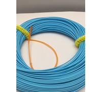 BestCity Ligne de pêche à la mouche - Poids intermédiaire avant - Bleu ciel - 30,5 m - Avec boucles tressées WF6