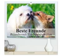 Beste Freunde - Bezaubernde Tierfreundschaften (hochwertiger Premium Wandkalender 2026 DIN A2 quer), Kunstdruck in Hochglanz: Besondere Tierfreundschaften in wunderschönen Bildern