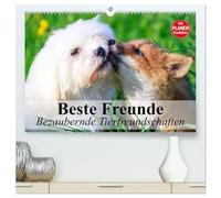 Beste Freunde. Bezaubernde Tierfreundschaften (hochwertiger Premium Wandkalender 2026 DIN A2 quer), Kunstdruck in Hochglanz: Besondere Tierfreundschaften in wunderschönen Bildern