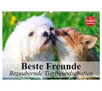 Beste Freunde. Bezaubernde Tierfreundschaften (Wandkalender 2026 DIN A2 quer), CALVENDO Monatskalender: Besondere Tierfreundschaften in wunderschönen Bildern