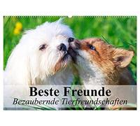 Beste Freunde - Bezaubernde Tierfreundschaften (Wandkalender 2026 DIN A2 quer), CALVENDO Monatskalender: Besondere Tierfreundschaften in wunderschönen Bildern