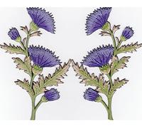 Bestellmich aufbügler Iron On Patch Deux Fleurs Bleuet Bleu naturel Jardin Prairie hübsch