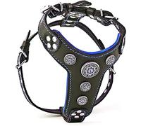 Bestia Bijoux Harnais pour Chien en Cuir Véritable Clouté pour Petite à Moyenne Races