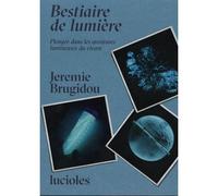 Bestiaire de Lumière - Plongée dans les aventures lumineuses - Jérémie Brugidou - L'ogre - broché - Etude