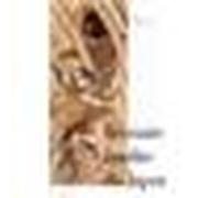 Bestiaire Insolite Du Japon