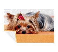 BestIdeas Belle couverture douce et chaude avec imprimé chien York Terrier pour lit, canapé, pique-nique, camping, plage, 150 × 100 cm