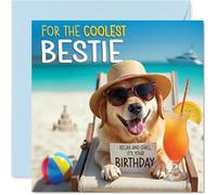 Bestie Carte d'anniversaire - Chien de plage Chill - Carte d'anniversaire pour meilleure amie de la famille 145 mm Chill Beach Dog