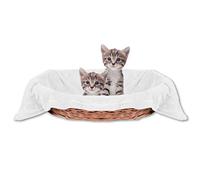 Bestlivings Couverture douillette pour animal de compagnie - Agréable et super douce - Disponible dans de nombreux coloris (60 x 80 cm) - Blanc - Crème