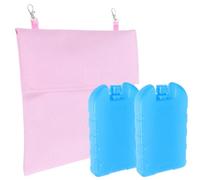 BESTOMZ de Glace pour Lapin, Pochette Isotherme pour Lapin, 2 Pains de Glace réutilisables, boîte à Glace, Refroidissement, Cage Lapin, Cochon d’Inde, Hamster, été