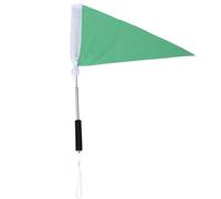 BESTOMZ Drapeau en Vert avec Touristique Guide Télescopique Mât Acier Inoxydable, Léger et Antidérapant Guidées Plusieurs styles pour Excursions Scolaires et Visites Plusieurs styles