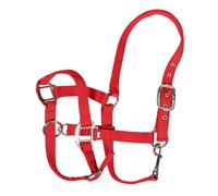 BESTOMZ Licol à Muserolle Réglable pour Cheval, Rembourrage Rouge | Sangle PP et Métal, pour Poulains et Petites Races Équines, Usage Pâturage et Entraînement