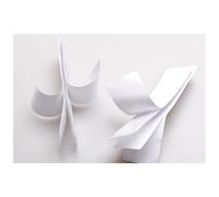 BESTOMZ Ruban Adhésif à Boucle Auto-agrippante Résistant et Auto-adhésif en Nylon Blanc 5pcs, Autocollants pour Montage Mural pour Camping et Salle de Classe