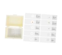 BESTonZON 10pièces Lames De Microscope Préparées pour Garçon Fille avec Spécimens Lames De Microbiologie pour Cours De Biologie