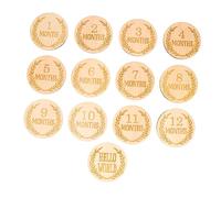 BESTonZON 13 Pièces Disques Bois Ronds pour Garçon Fille Cartes de Croissance Bois Né pour Annoncer une Naissance