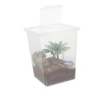 BESTonZON 1ensemble Boîte De Nourriture pour Araignées Sauteuses Habitat Transparent pour Petits Animaux Enclos Sécurisé avec Caractéristiques Anti- pour Araignées