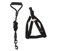 BESTonZON 1Ensemble Laisse de Nylon avec Ajustable pour Extérieur pour Activités