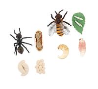 BESTonZON 2 Ensembles Cycle de Croissance des Animaux Chiffres du Cycle de Vie décor de Miel Ensemble de Jeu pour Enfants Cycle de Vie des Fourmis modèles cognitifs d'insectes Plastique