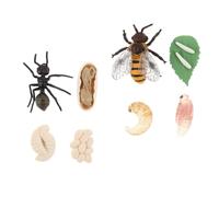 BESTonZON 2 Ensembles Modèles Éducatifs Animaux Sets de Simulation Cycle de Vie de Abeille pour Garçon Fille Jouets Créatifs et Amusants