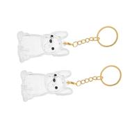 BESTonZON 2 Pièces Boîte Transparente de Rangement pour Poils Animaux Porte-clés Capsule Mini pour Souvenir Urne Commémorative Portable Accessoire Mémorial Chien et Chat Facile à Transporter