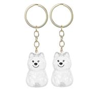 BESTonZON 2 Pièces Boîte Transparente pour Poils Animaux Porte-clés Commémoratif Chien et Chat Coffret avec Fermeture Sécurisée pour Souvenir et Stockage des Poils