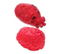 BESTonZON 2 pièces Décoration Halloween Organes Humains Simulés Cœur et Effrayants Accessoires Hantés pour et Fête