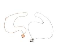 BESTonZON 2 Pièces Pendentif commémoratif pour Animaux de Compagnie Bijoux Collier de Souvenirs pour Animaux Collier Pendentif urne pour Cendres